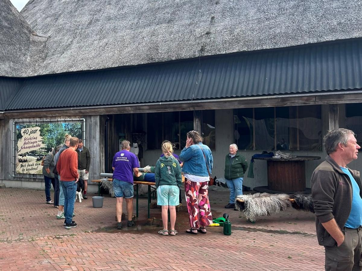 Drentse-Heidedag-2026-1